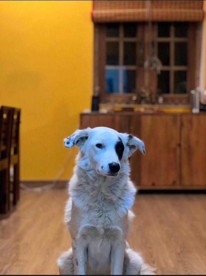 Francolin Lodge-Farmstay @ Darima مكتزور المظهر الخارجي الصورة